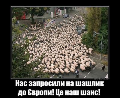 Прикрепленное изображение: uM2dxkbbtnE.jpg